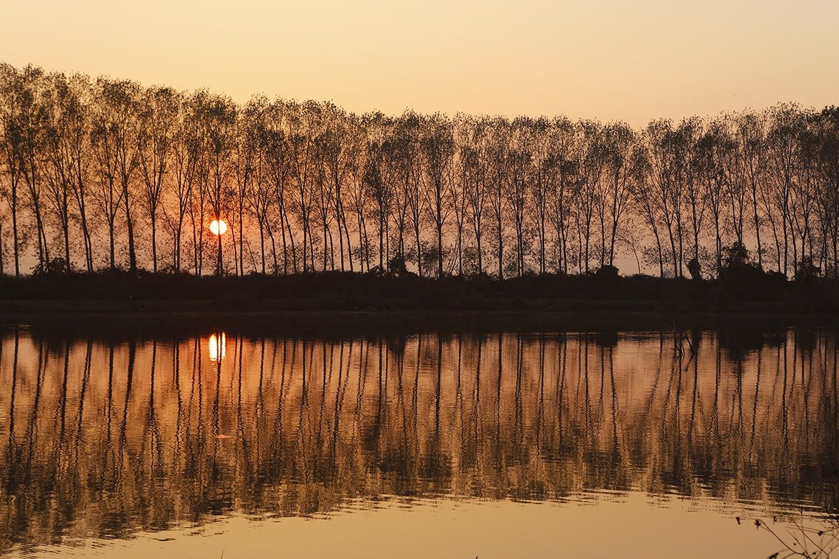 The sun between the lines