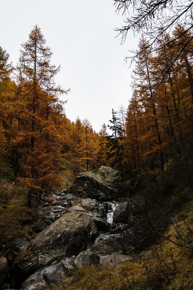 Val d'Ayas in autunno: Evançon