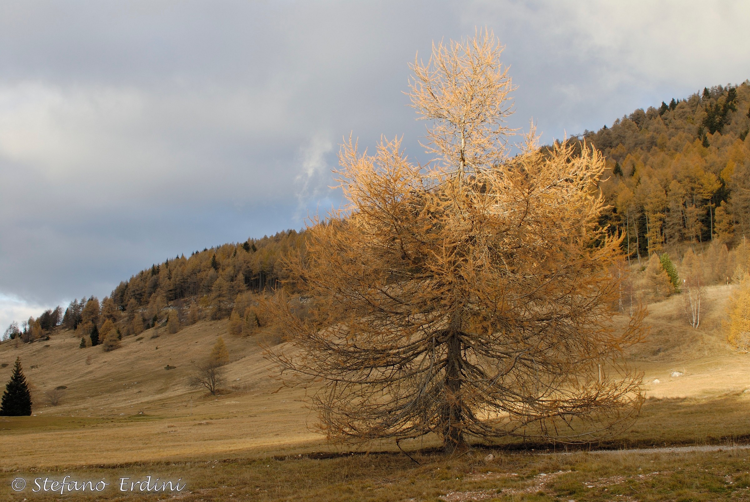 Autumn (Monte Bondone)