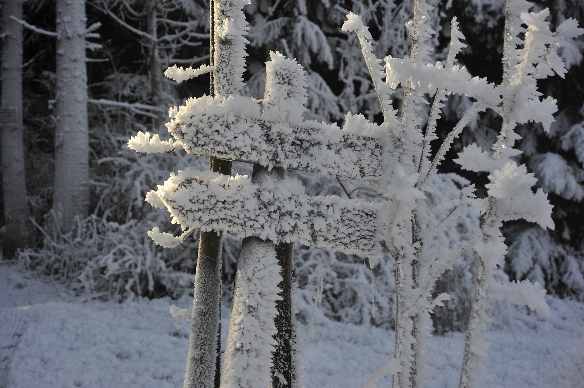 Indications of the path