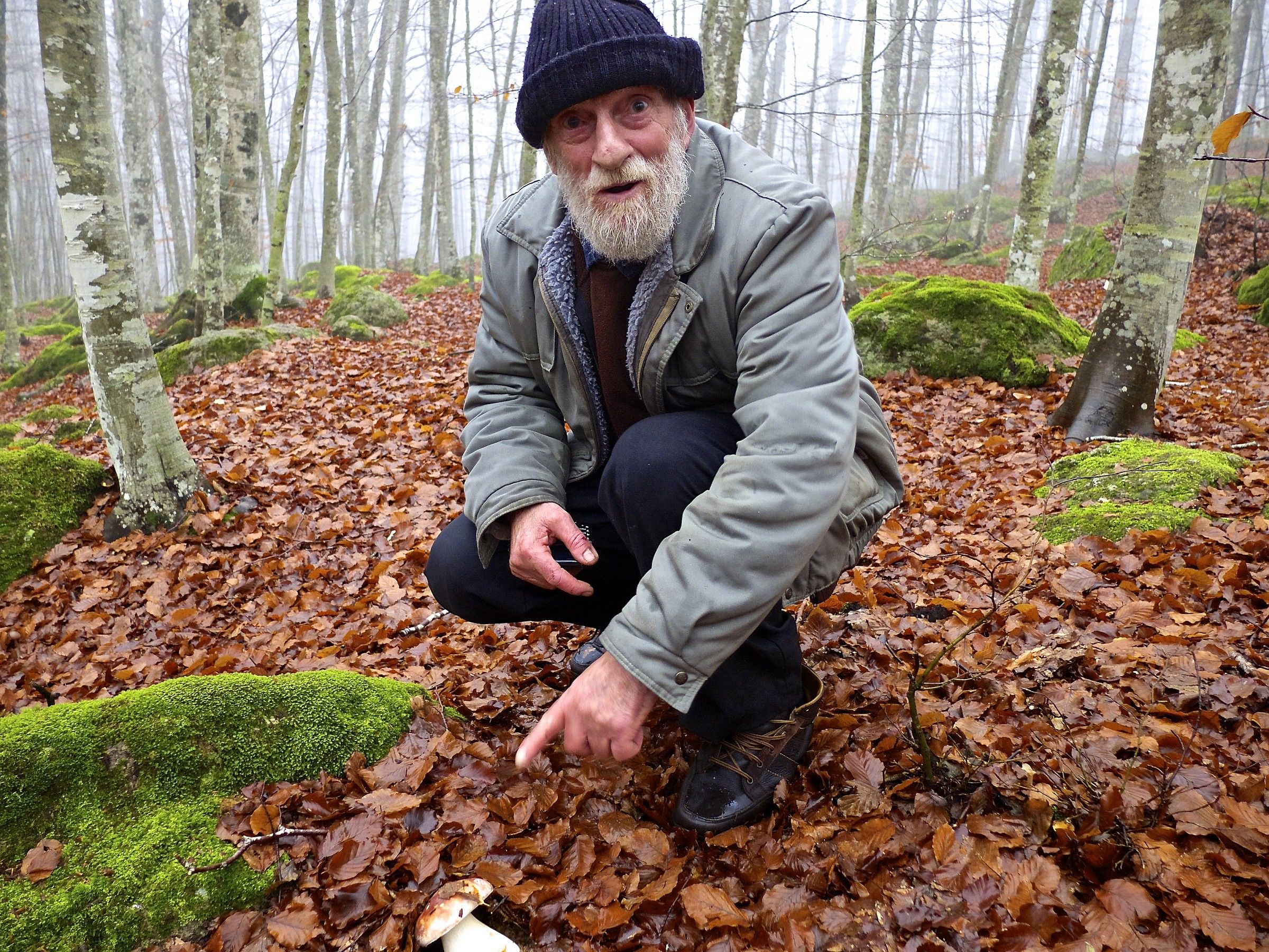 il frate e il porcino