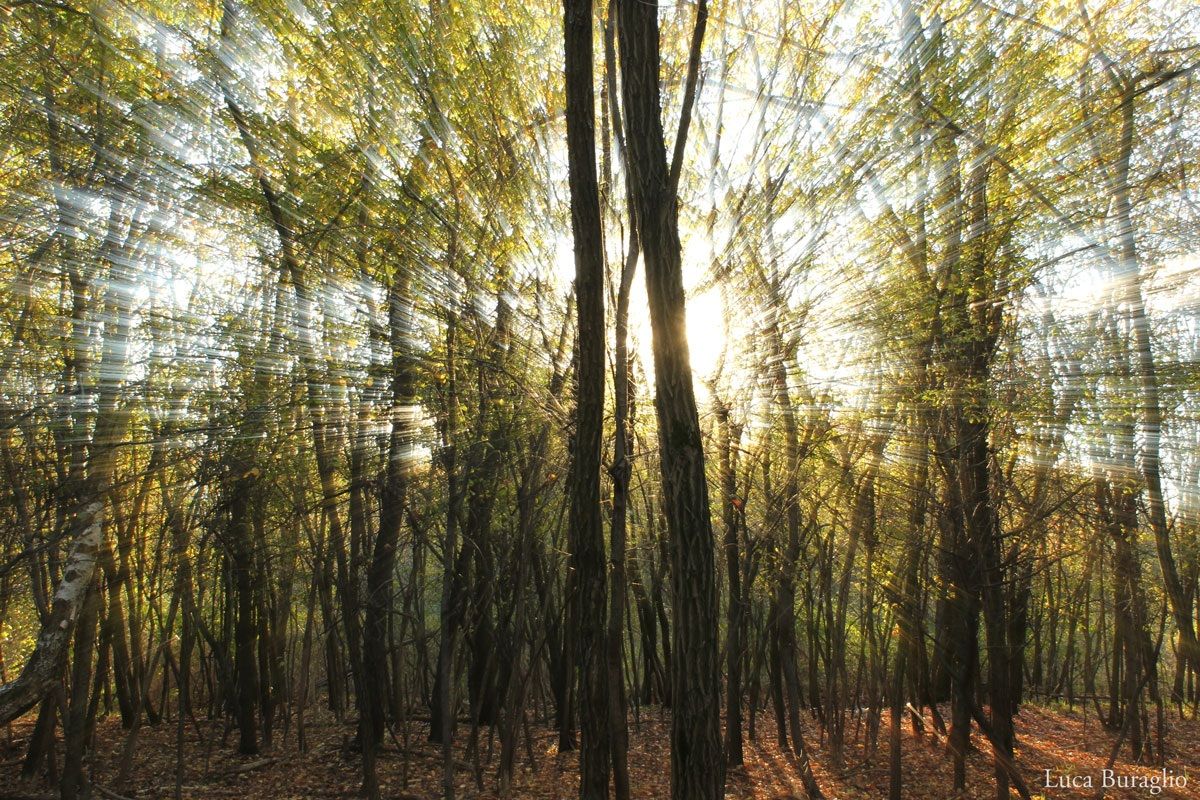 Verso un'altra dimensione