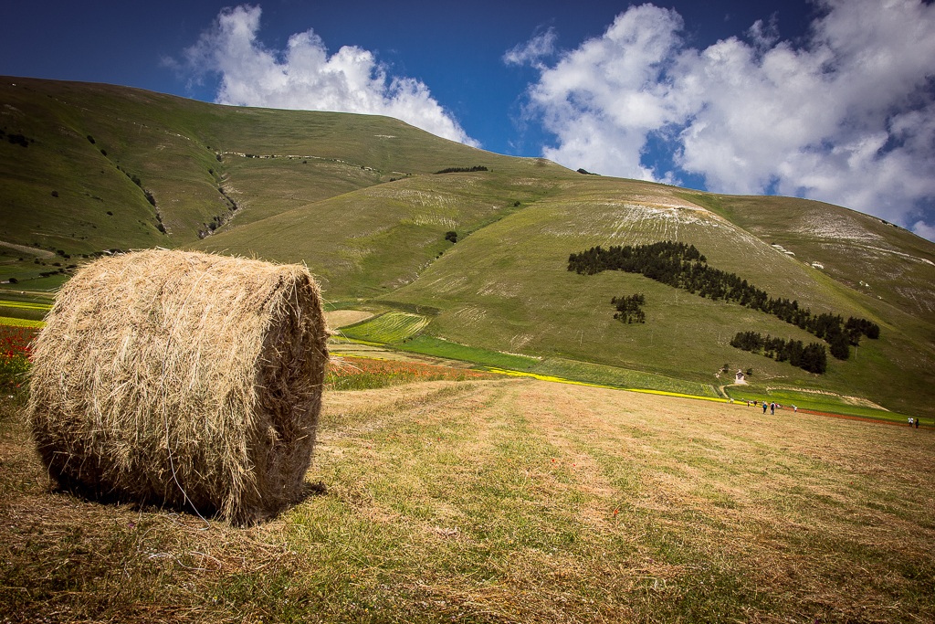 Balla di fieno - Castelluccio di Norcia (pg)