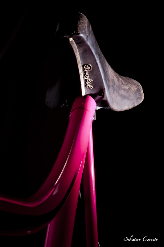 Sella Profil Concor su Moser 51.151