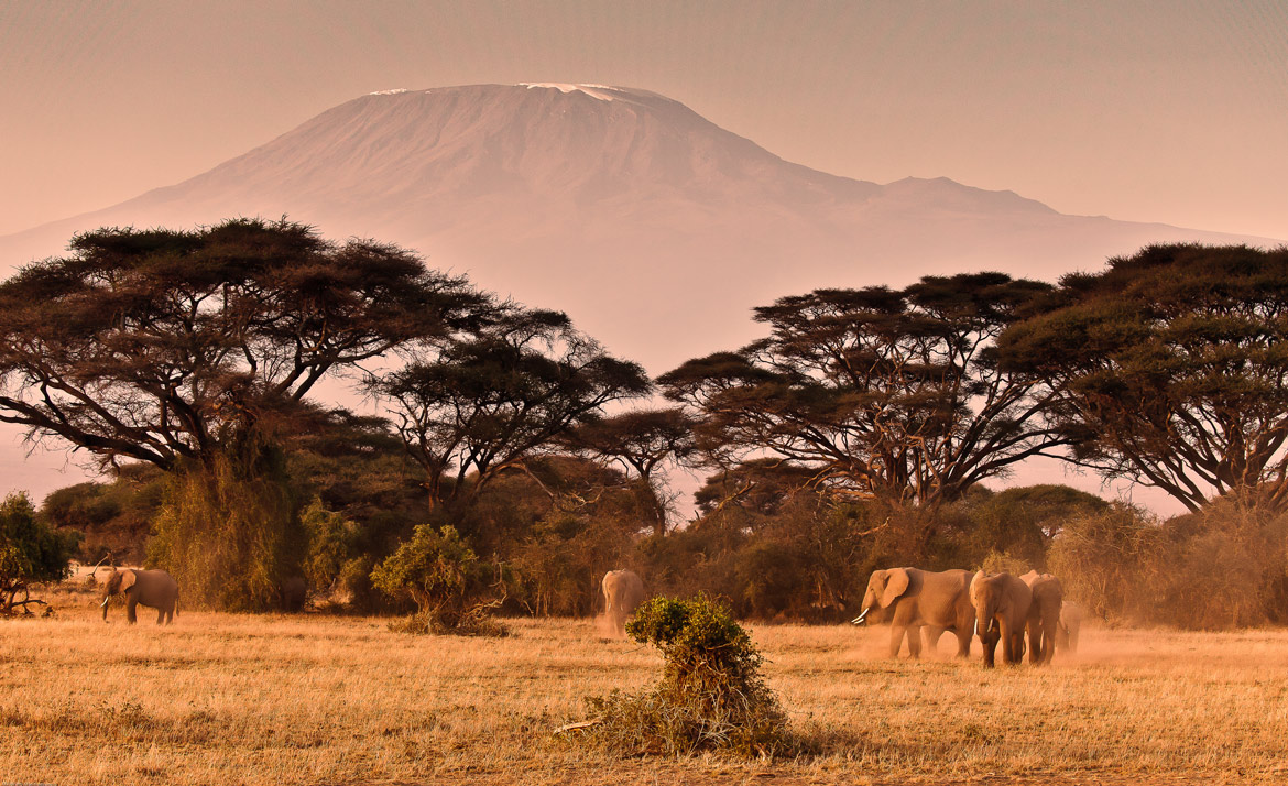 the great snow mountain at dawn