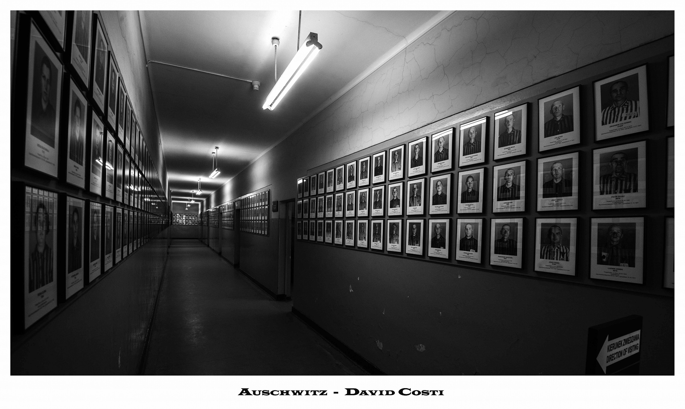 Auschwitz - Willhelm Brasse