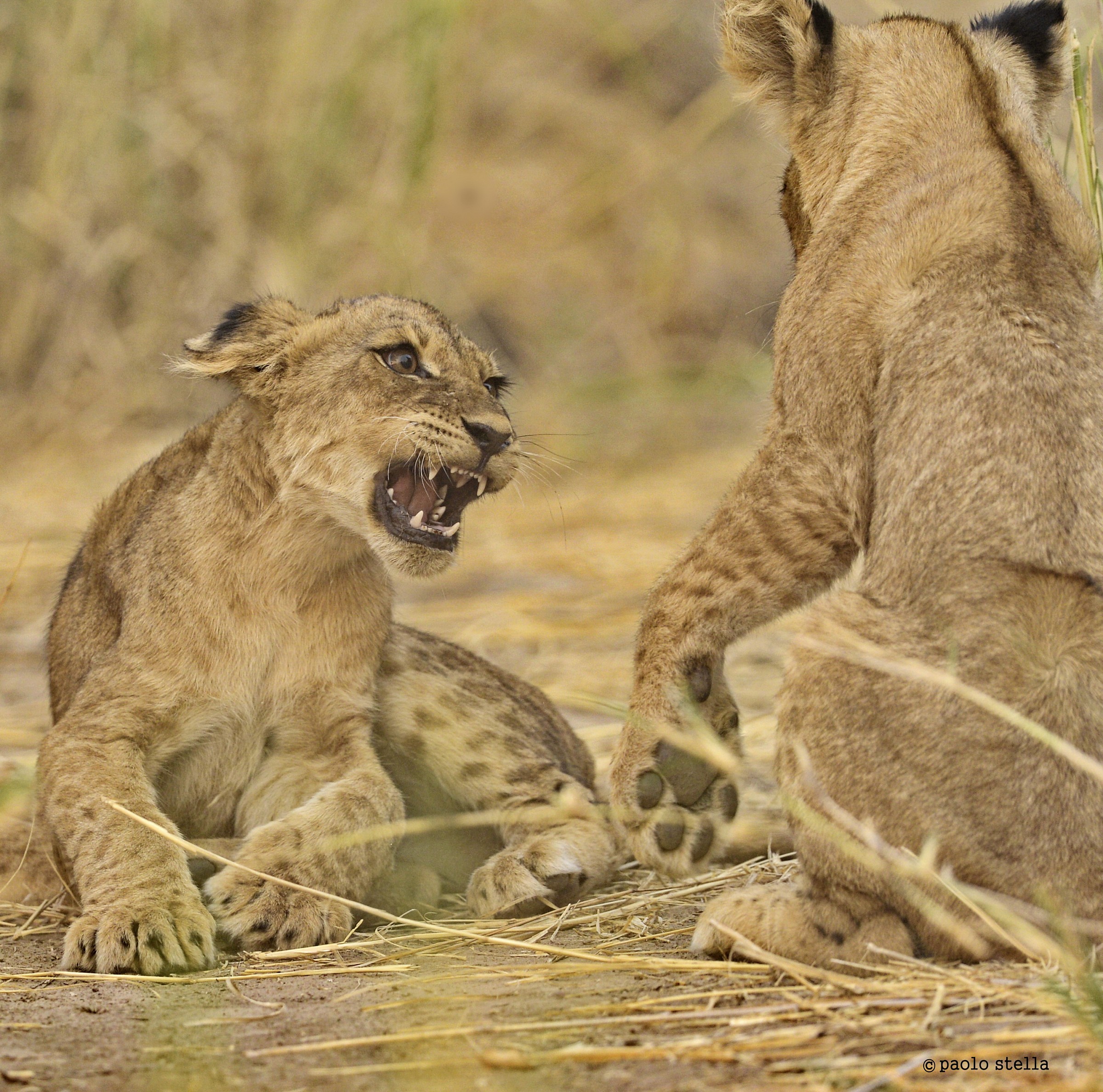 do not make me angry ....