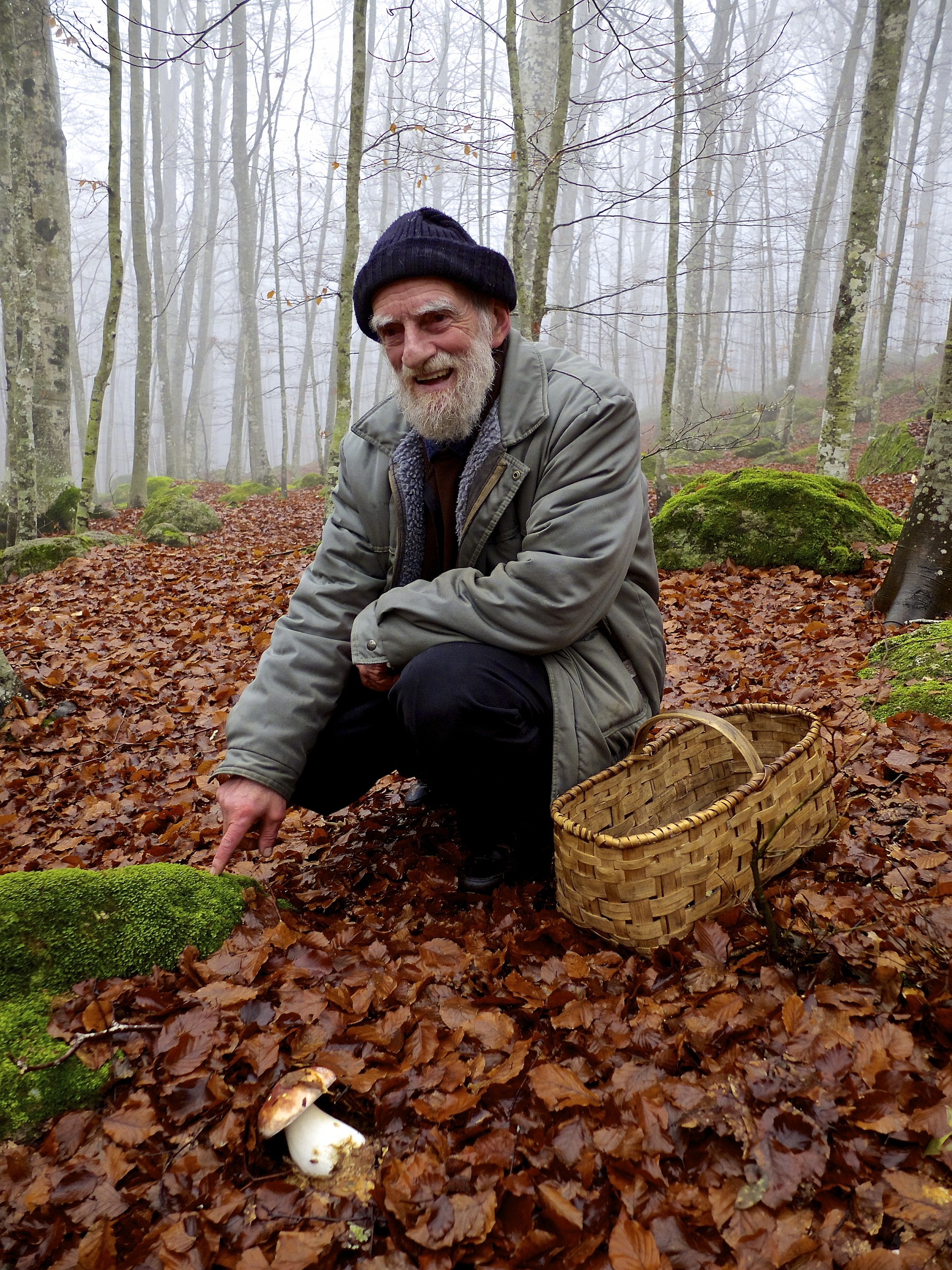 L'autunno della vita