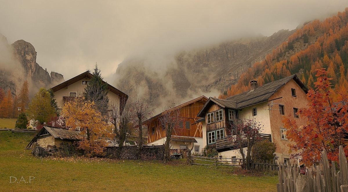 Immersed in the "autumn