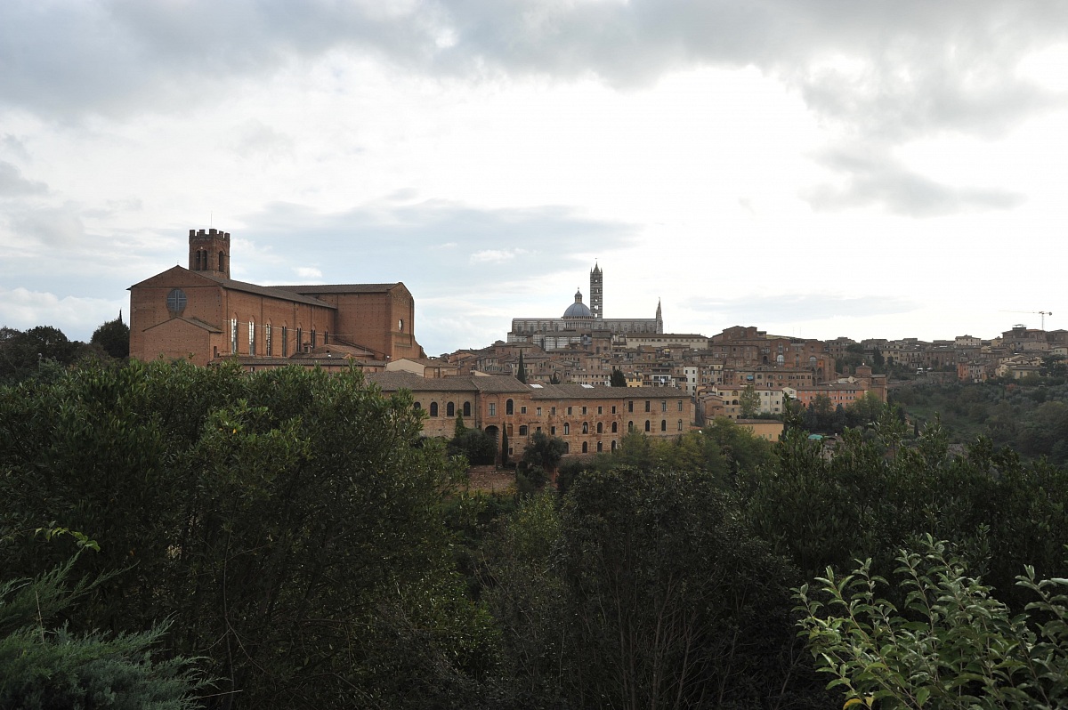 Siena