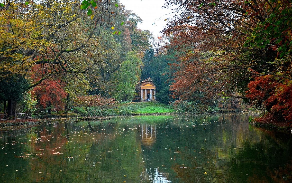 Autumn in the Park of Monza