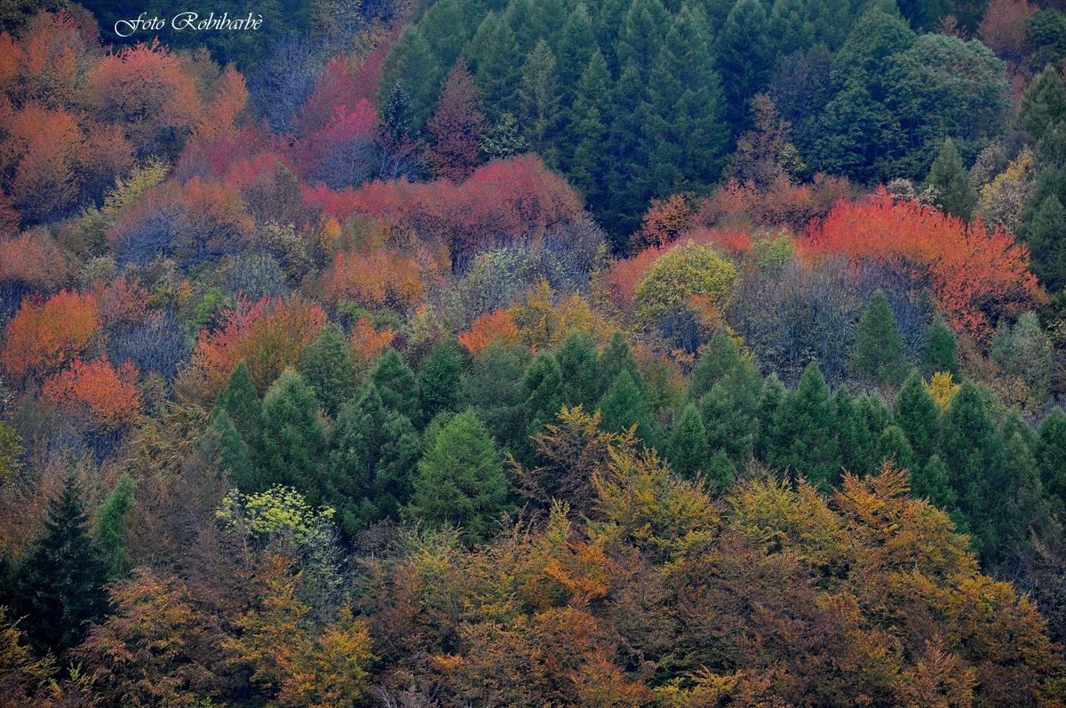 Un dipinto naturale ....