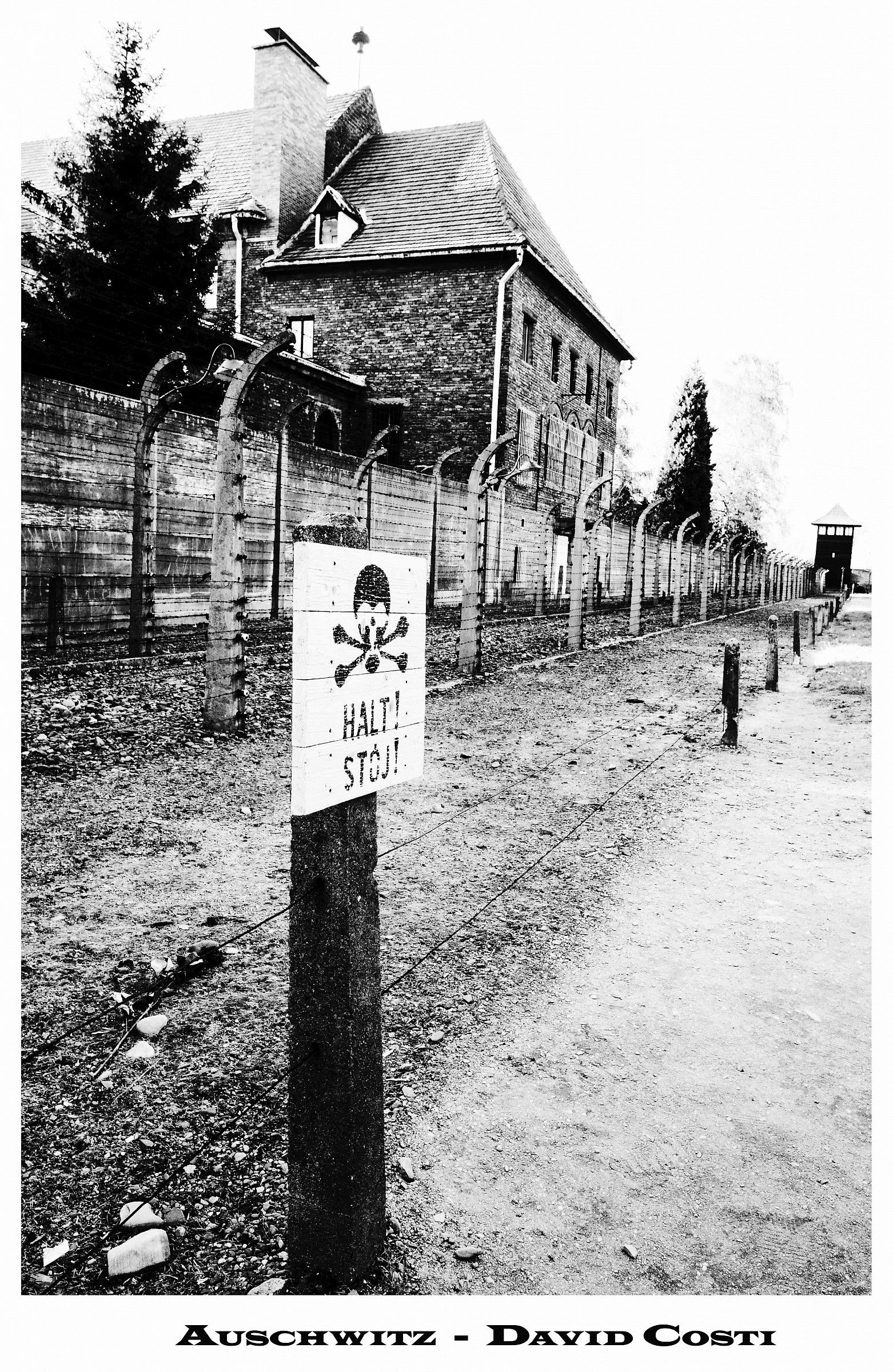Auschwitz - Border
