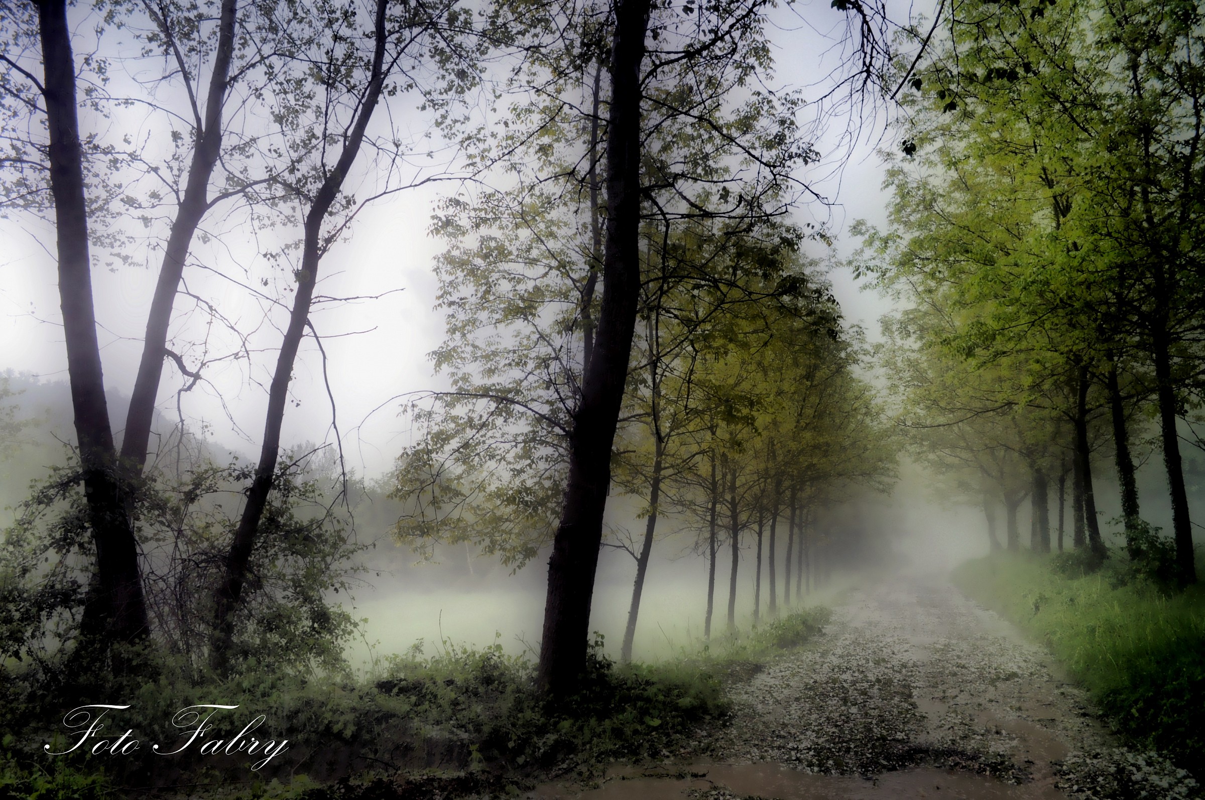 Spring and its colors