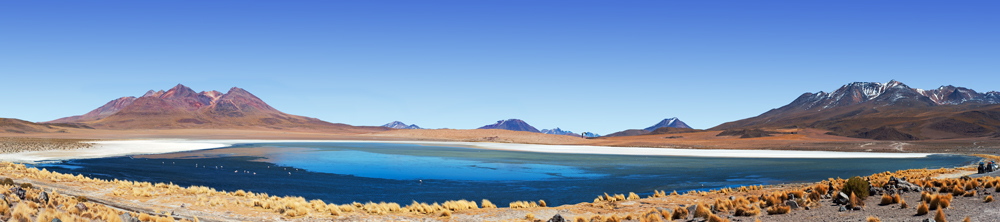 Bolivia - Laguna