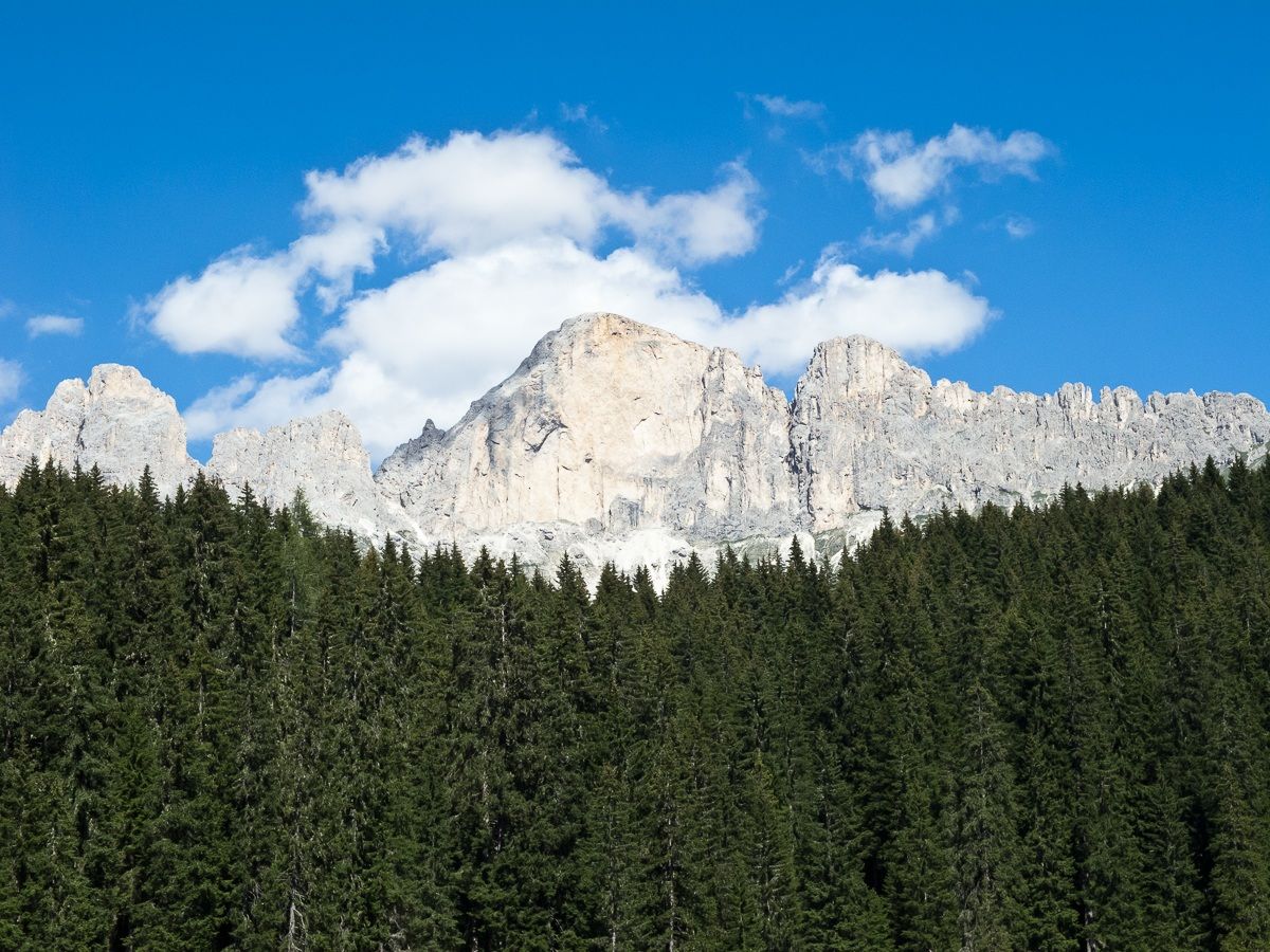 Scorcio montano dal Lago di Carezza 2