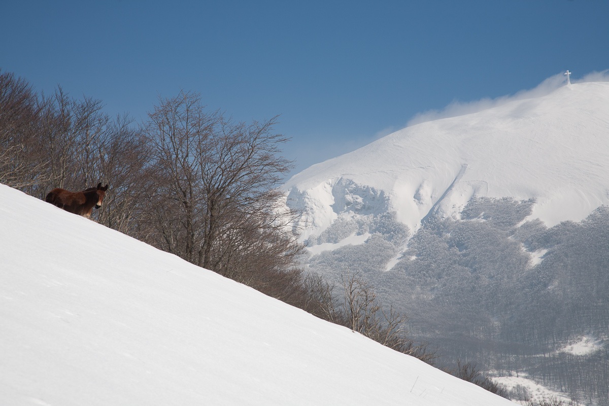 Inverno al Monte Catria