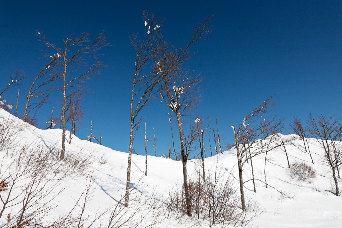 La durezza dell'Inverno