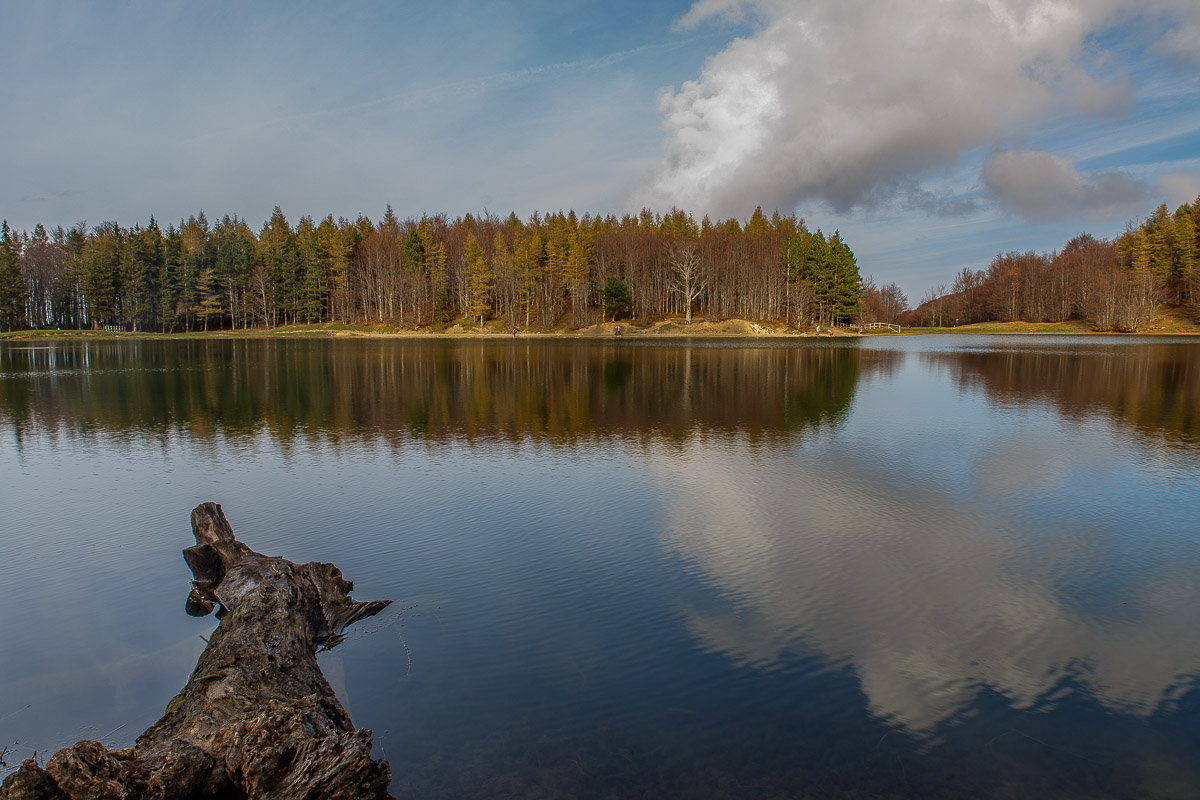Riflessioni lacustri