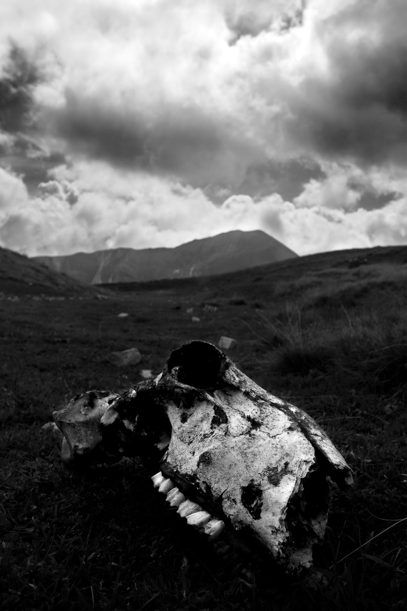 La Natura fa il suo corso