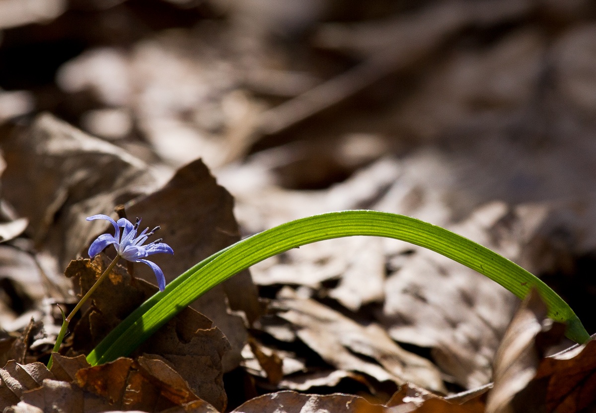 Chi nasce e chi muore