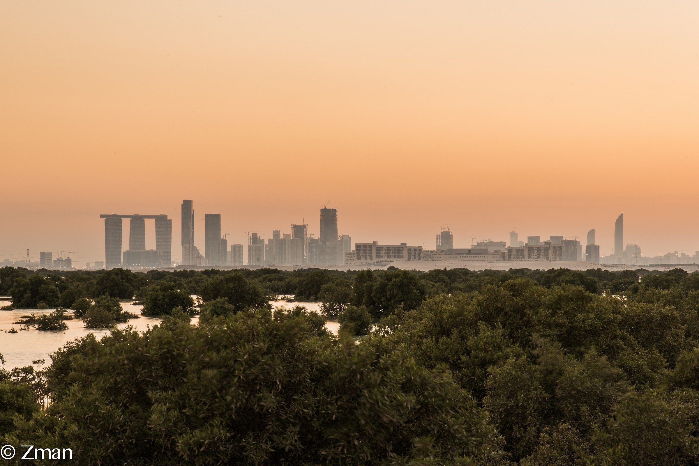 Le mangrovie e Abu Dhabi