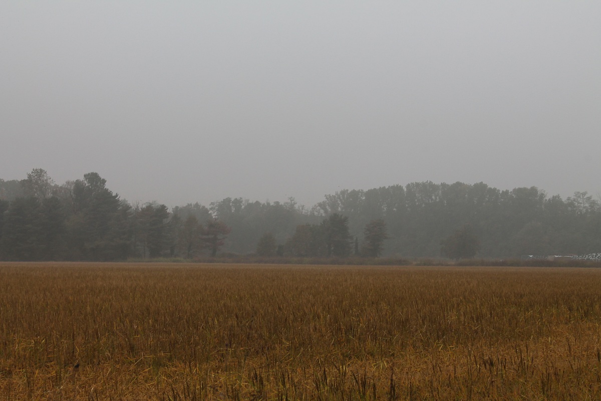 campagna pavese autunnale