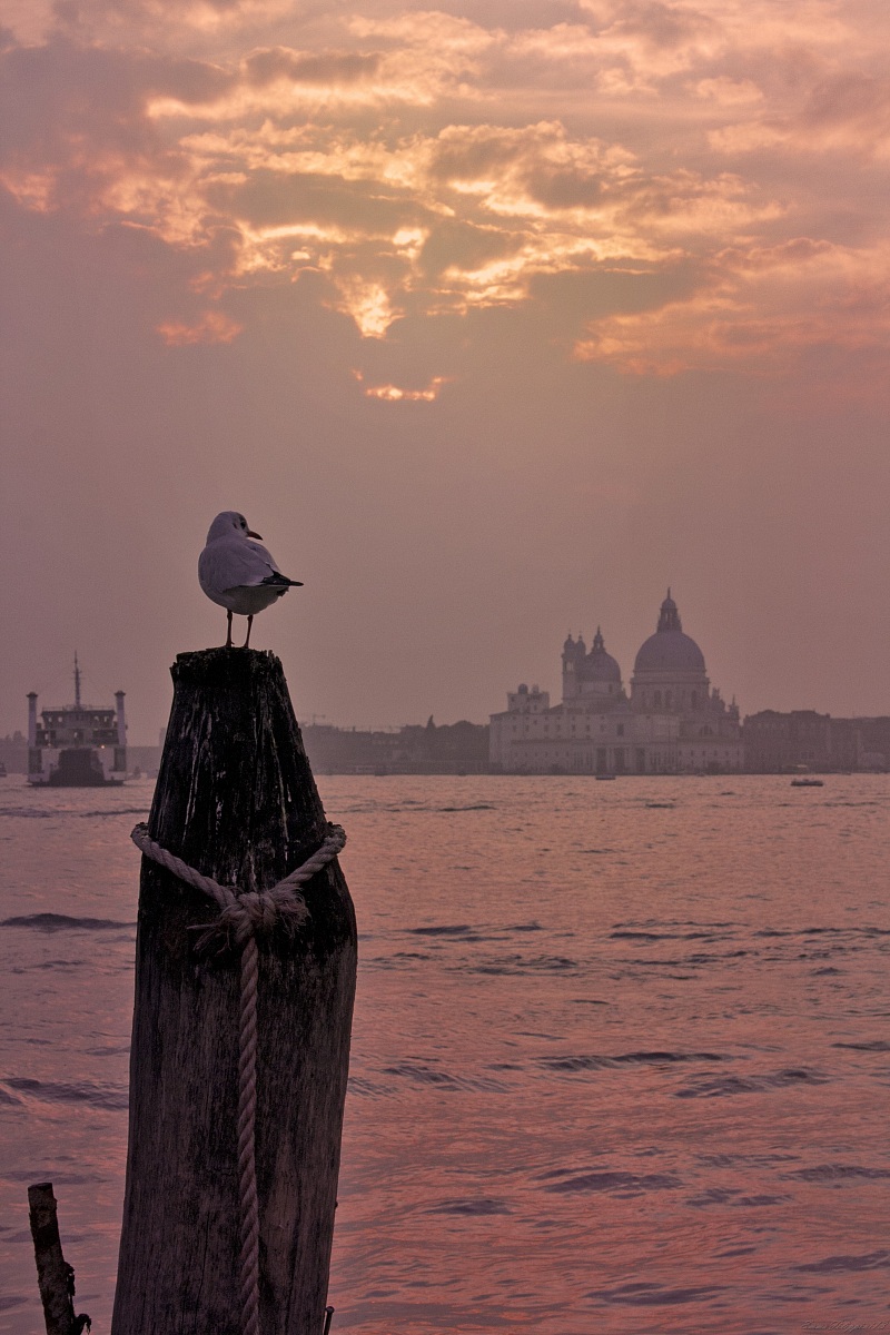 Spectator in the front row