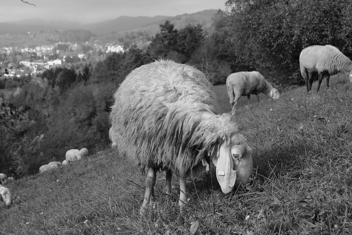 last days in the Valley