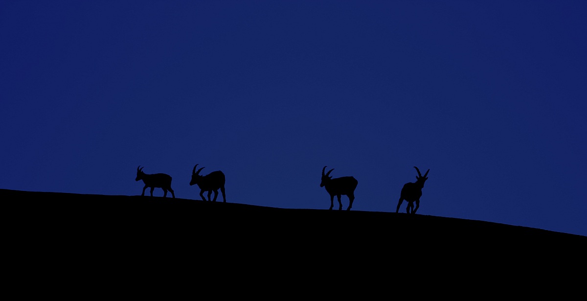 evenings at the Gran Paradiso