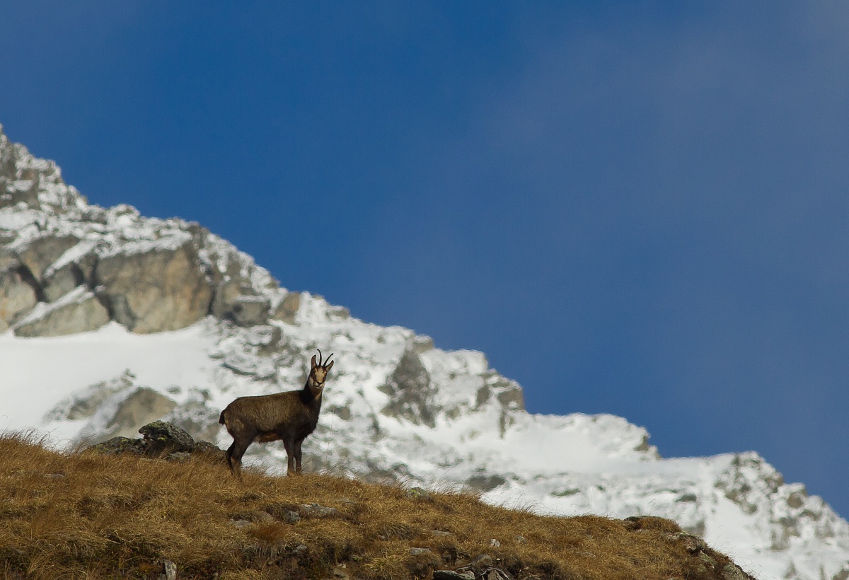 up there '.. he commands the mountain
