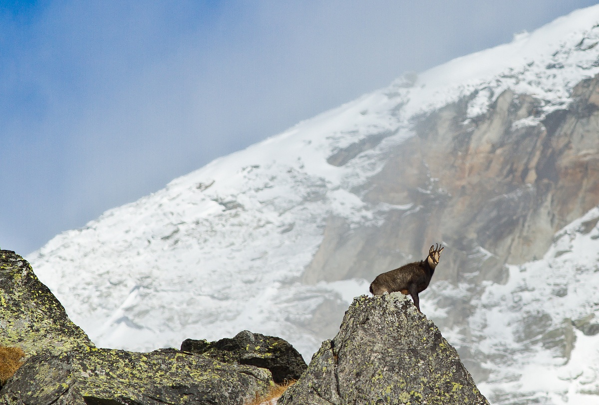 between the torments of the mountains