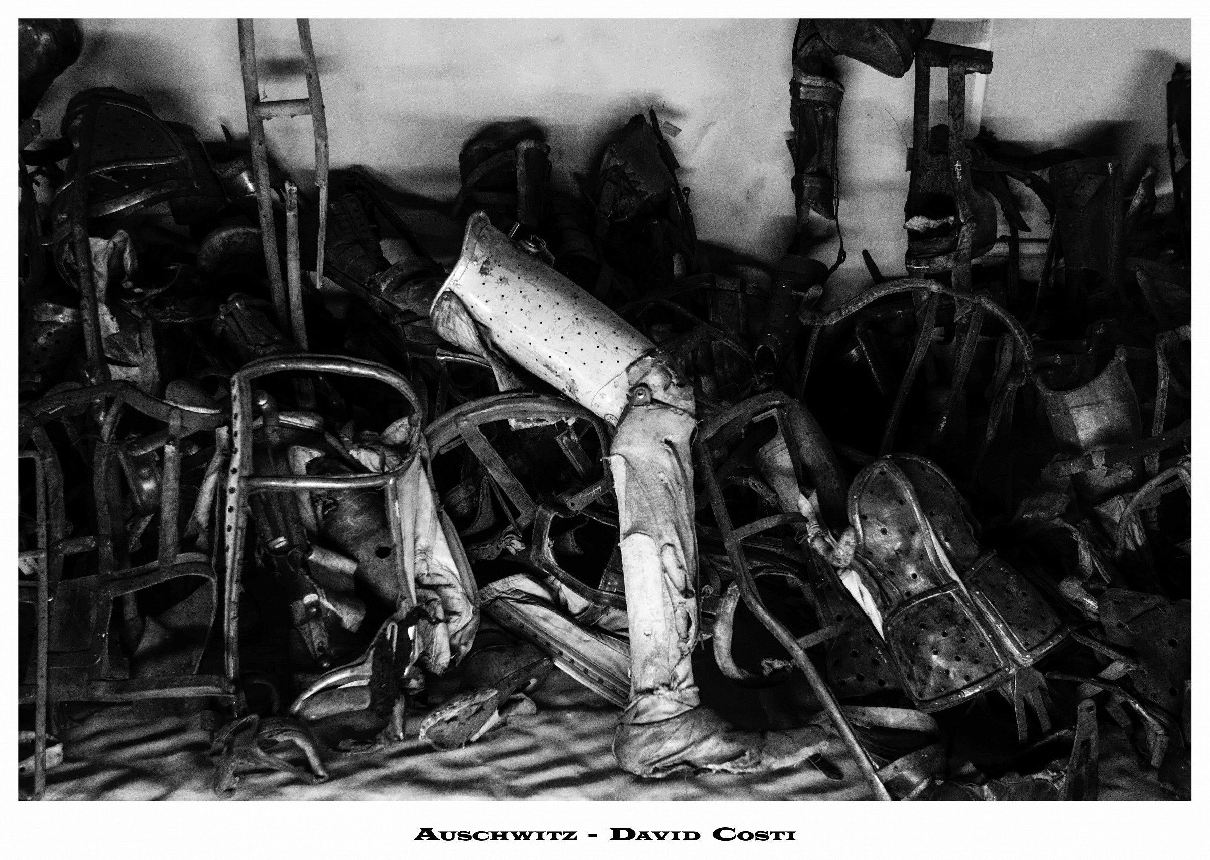 Auschwitz  -  Ausilii