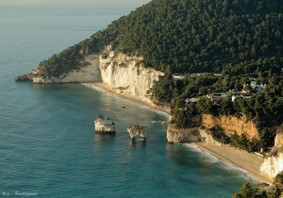 stacks - Bay of auks