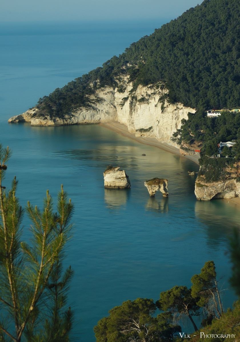 stacks - Bay of auks