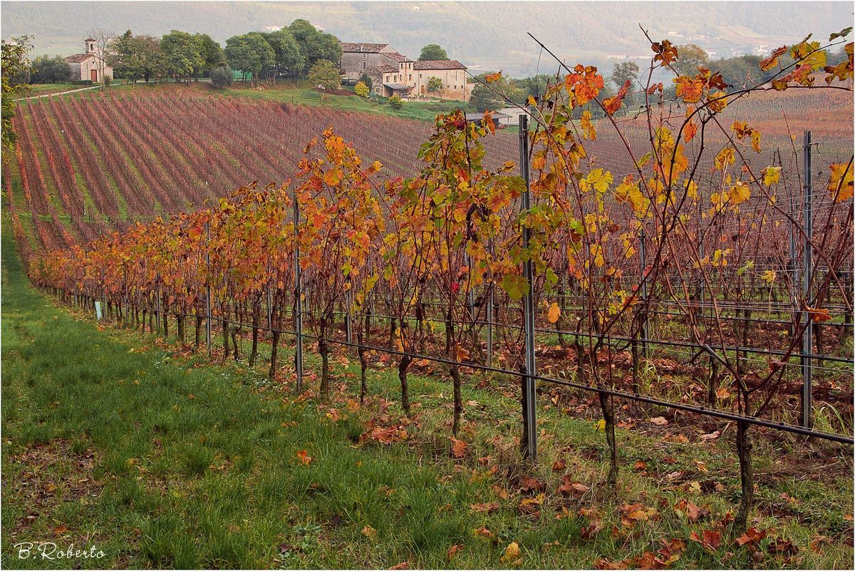 Autumn in the countryside