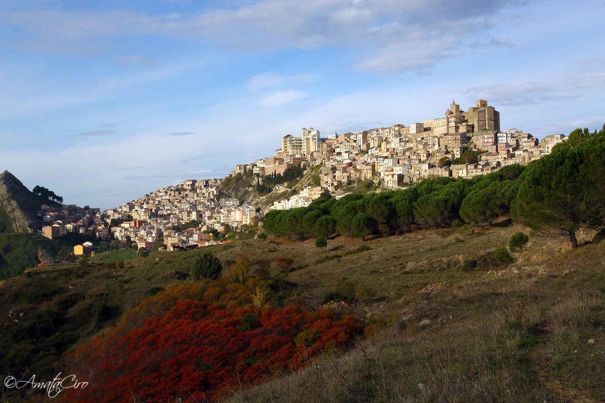 Postcard from Troina