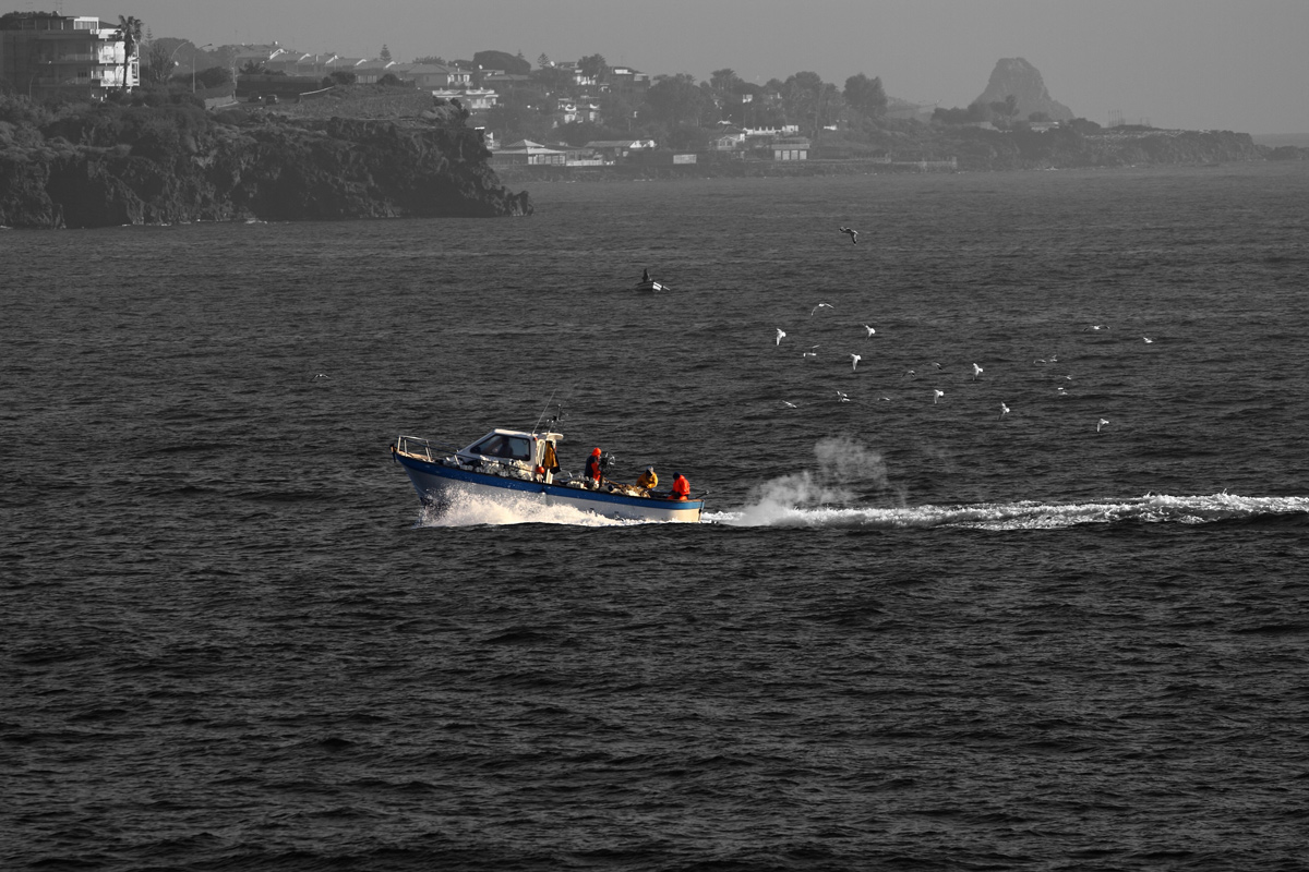 Porticciolo di Ognina - Catania