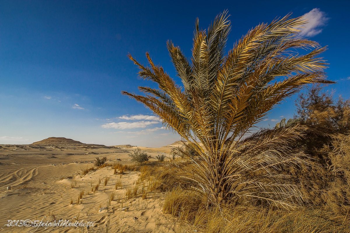 Deserto Egiziano