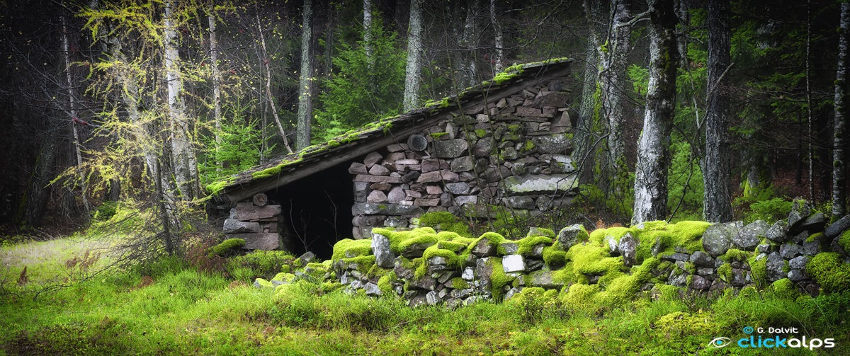 Nella terra di mezzo