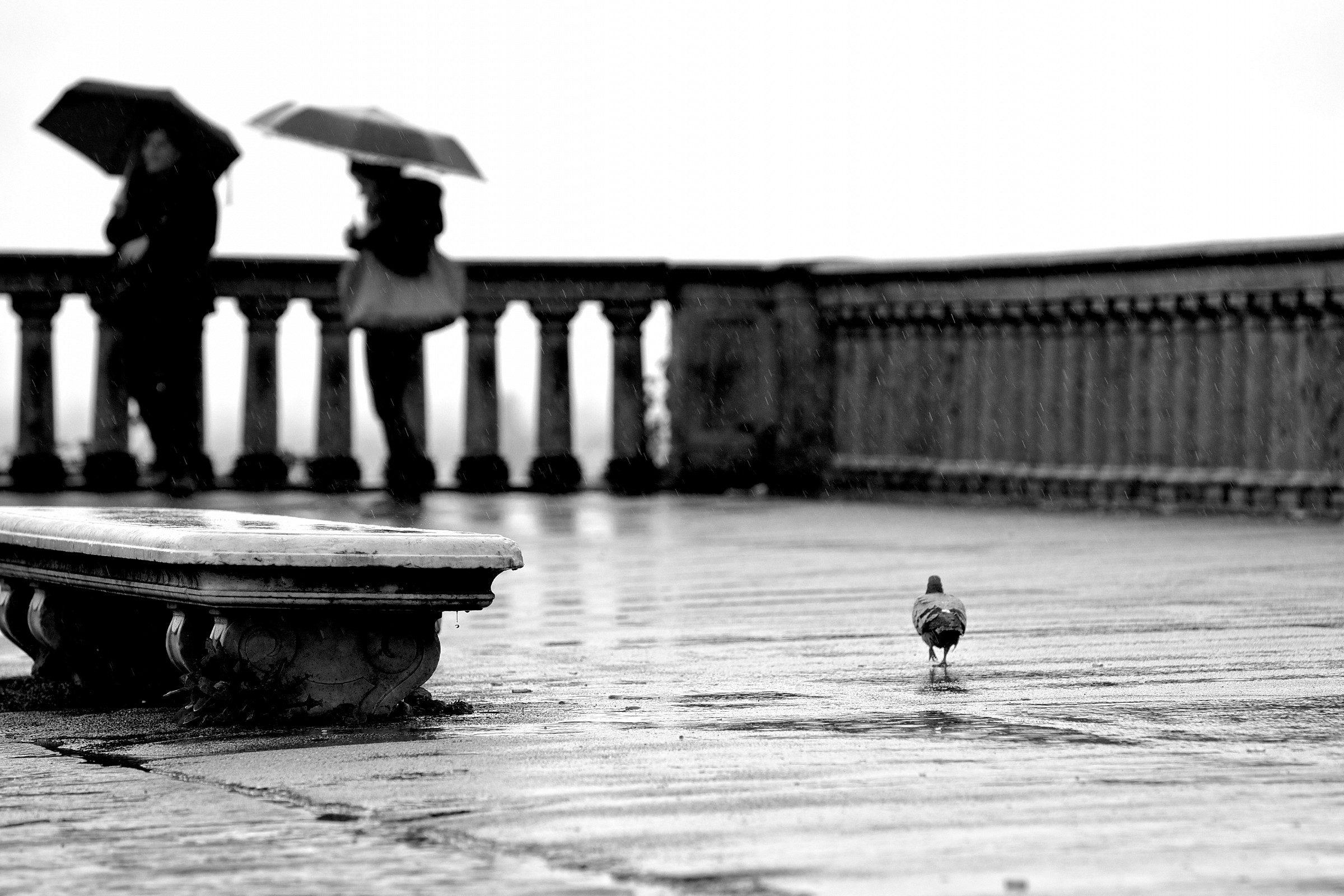 E' solo un po' d'acqua