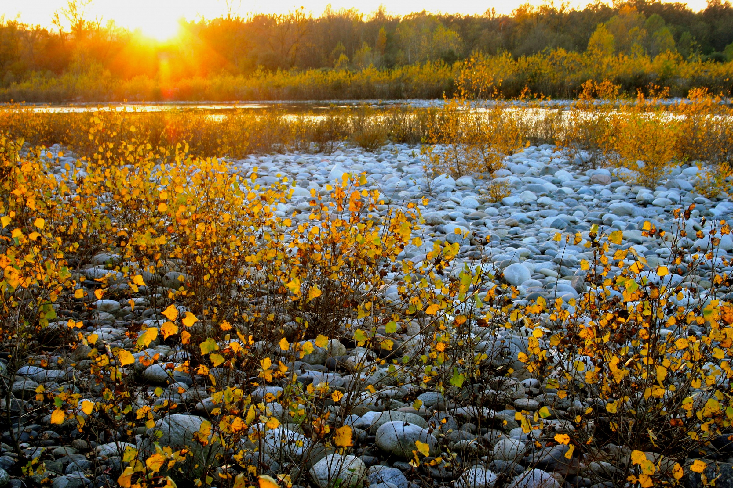 Ultimo sole e ultime foglie
