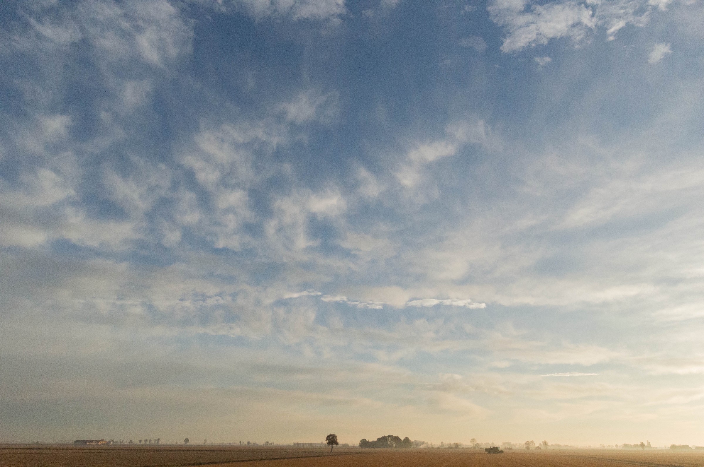 Guidando in mezzo a terre dorate