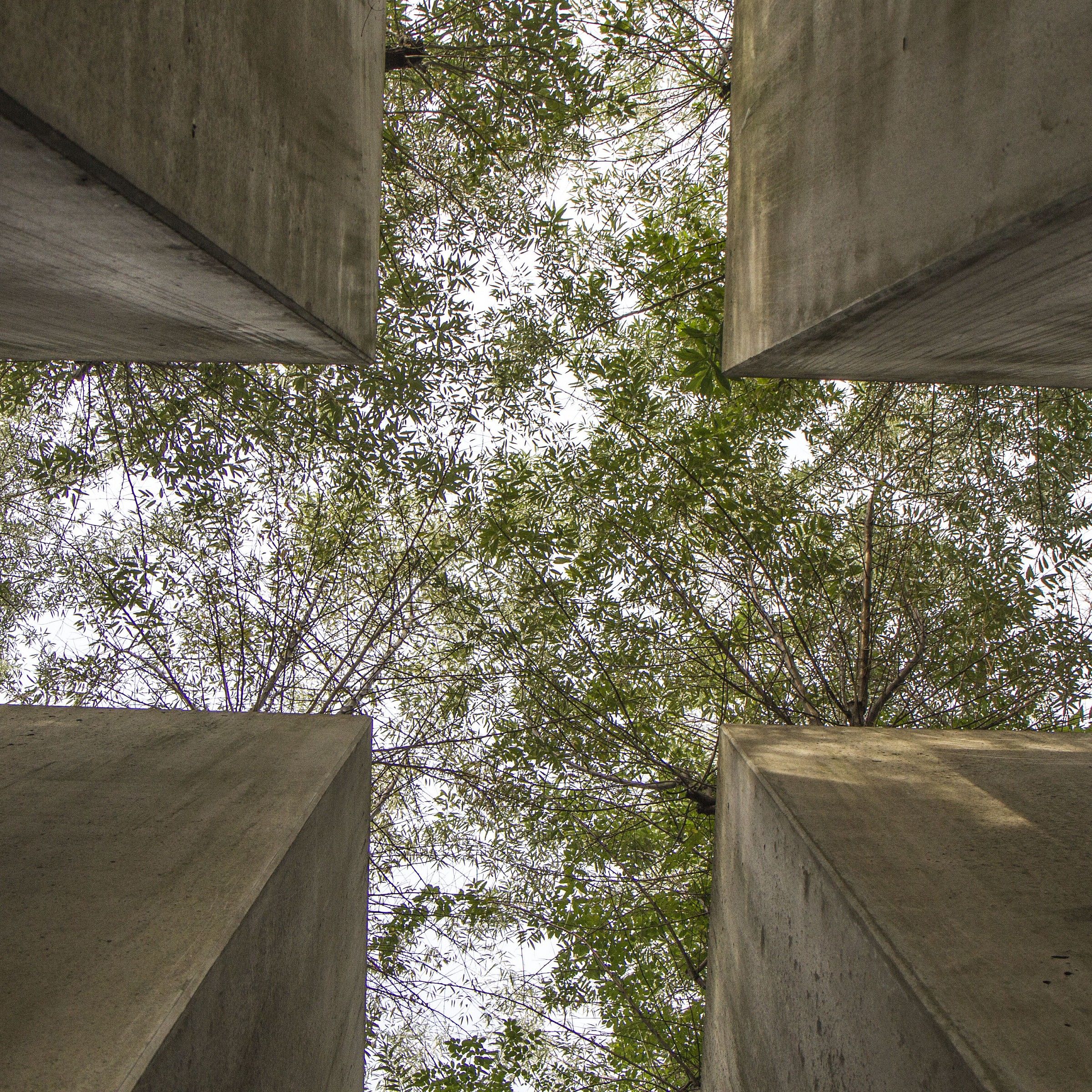Berlino - Museo Ebraico: Il giardino di Hoffman