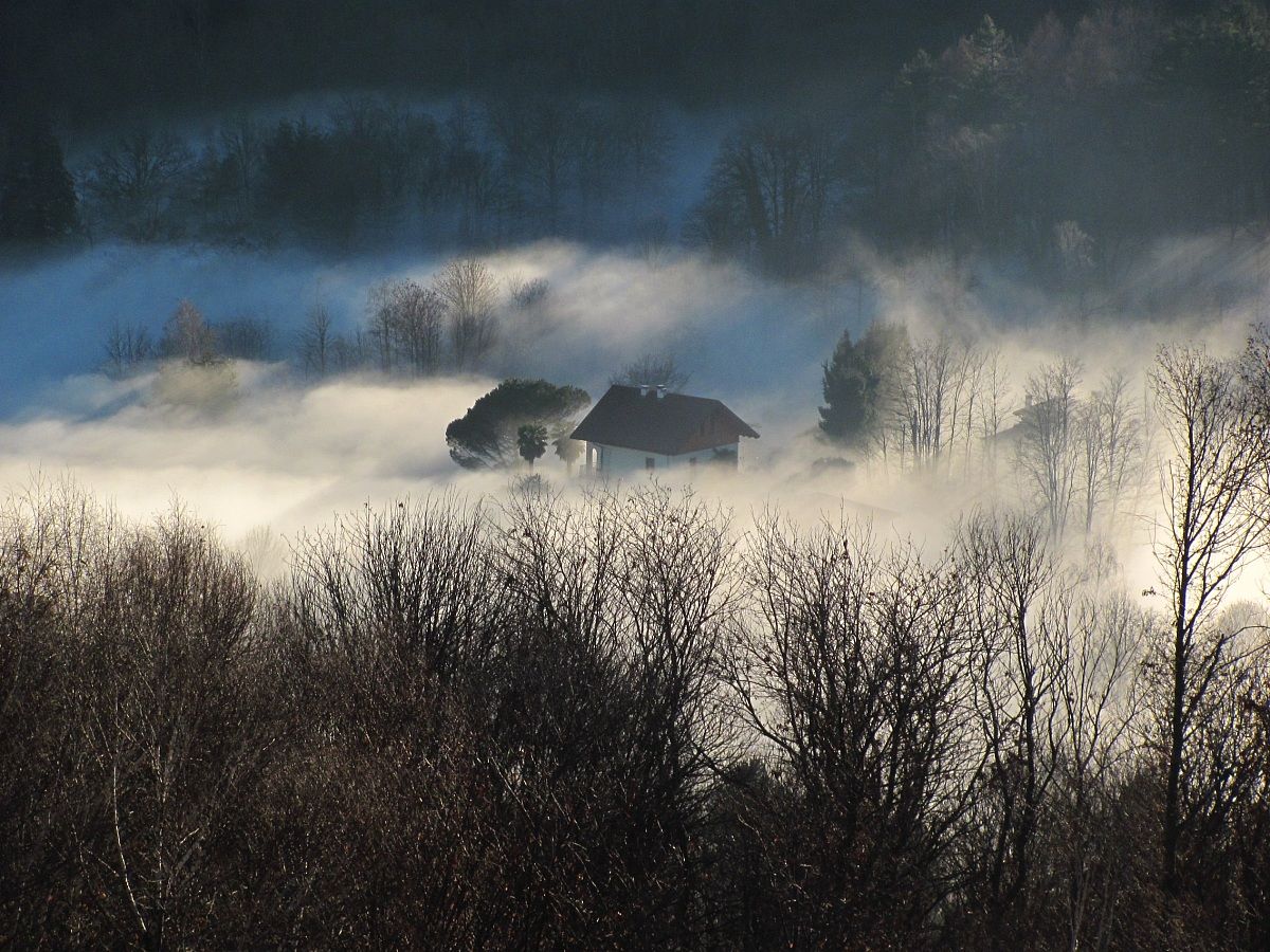 Il sole tra la nebbia