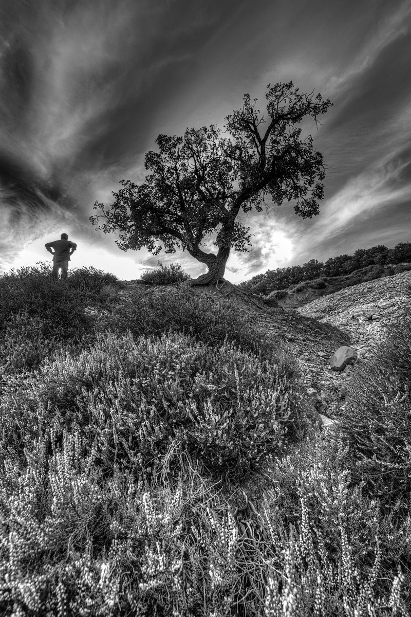 Looking at the light