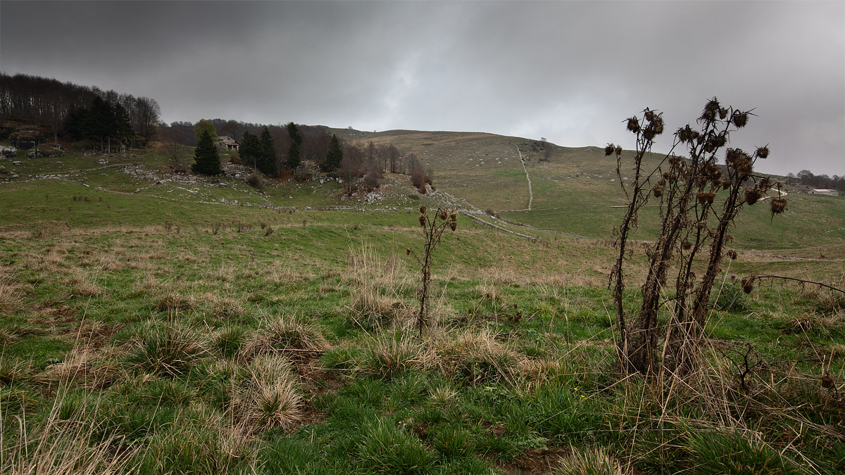 Fall from Malga Saibe