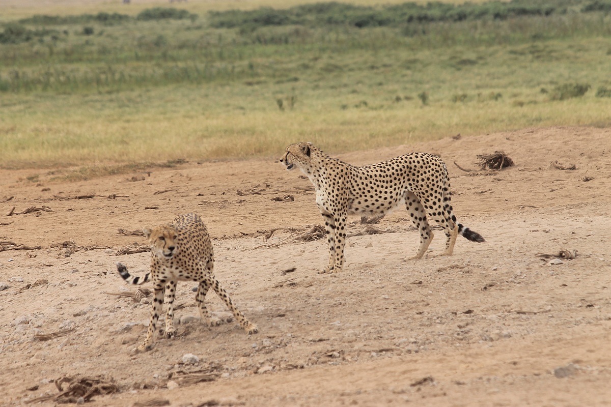 we are the most beautiful couple ....