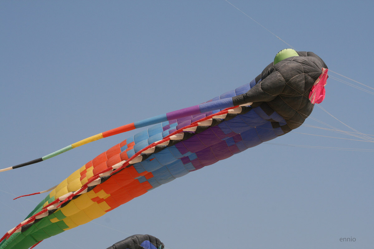 I figli del vento.(2185)