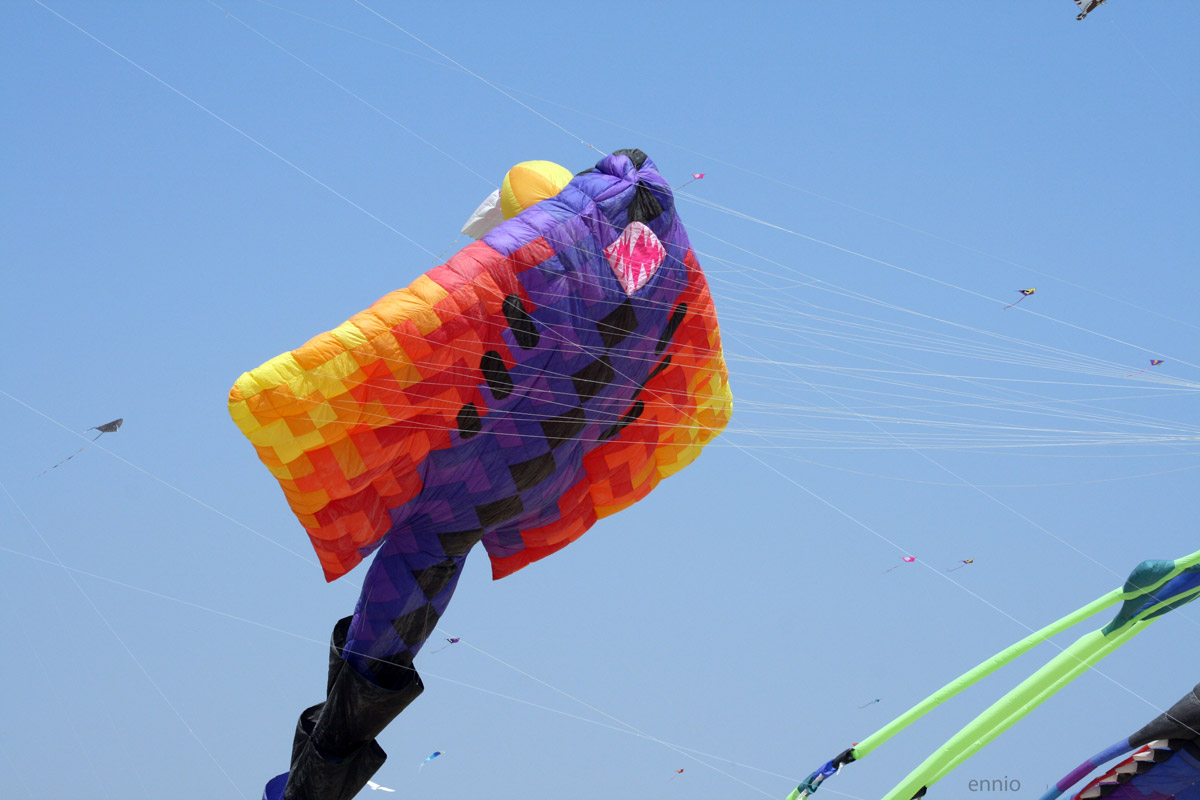 I figli del vento.(2189)